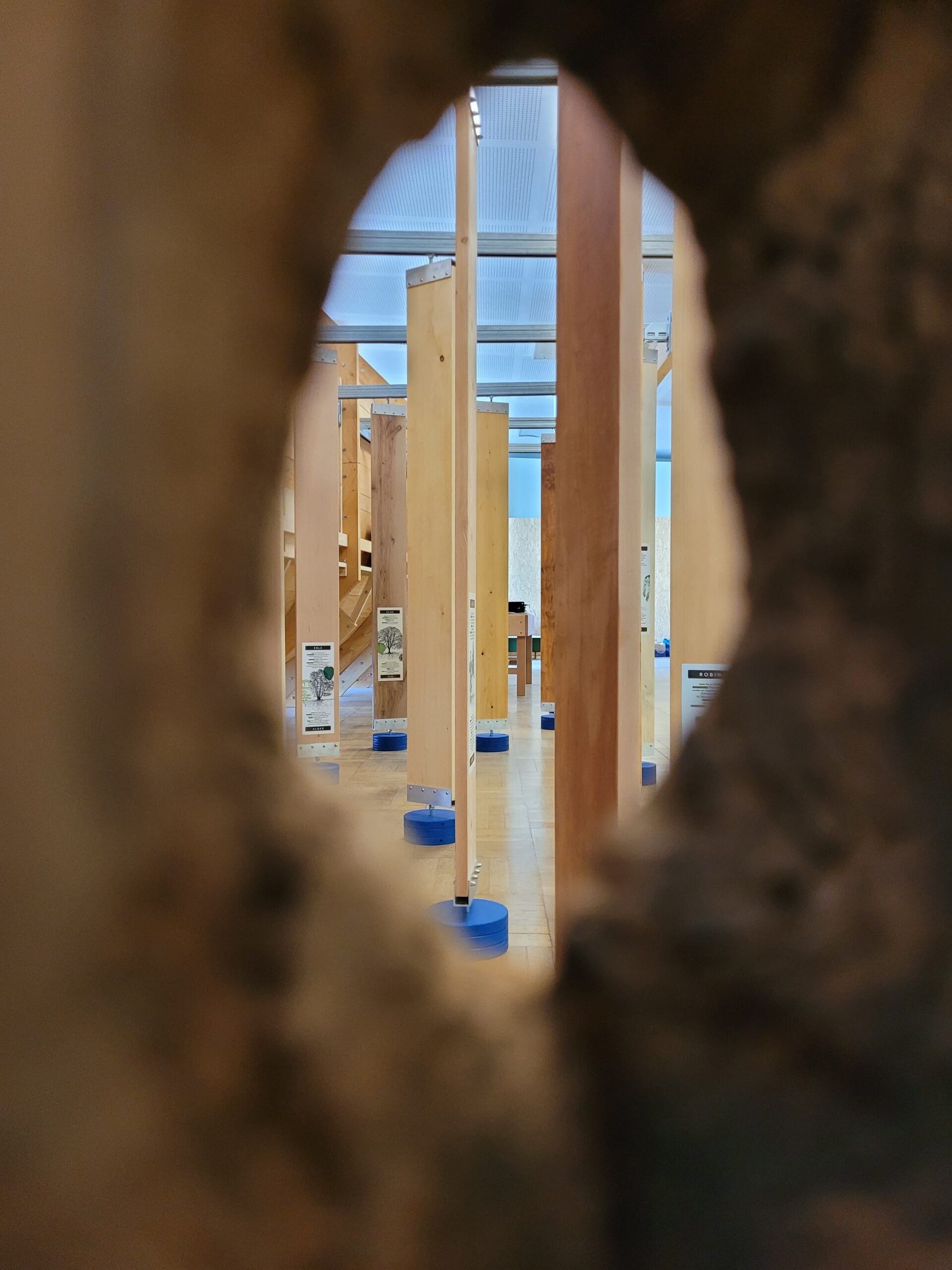 Holzbau Kompetenz Sachsen GmbH &ndash; Hoelzer scaled