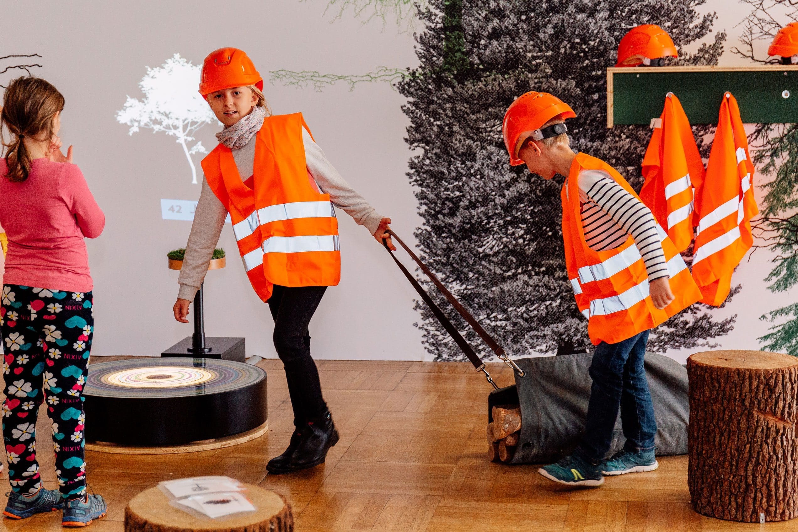 Holzbau Kompetenz Sachsen GmbH &ndash; alles holz kinder