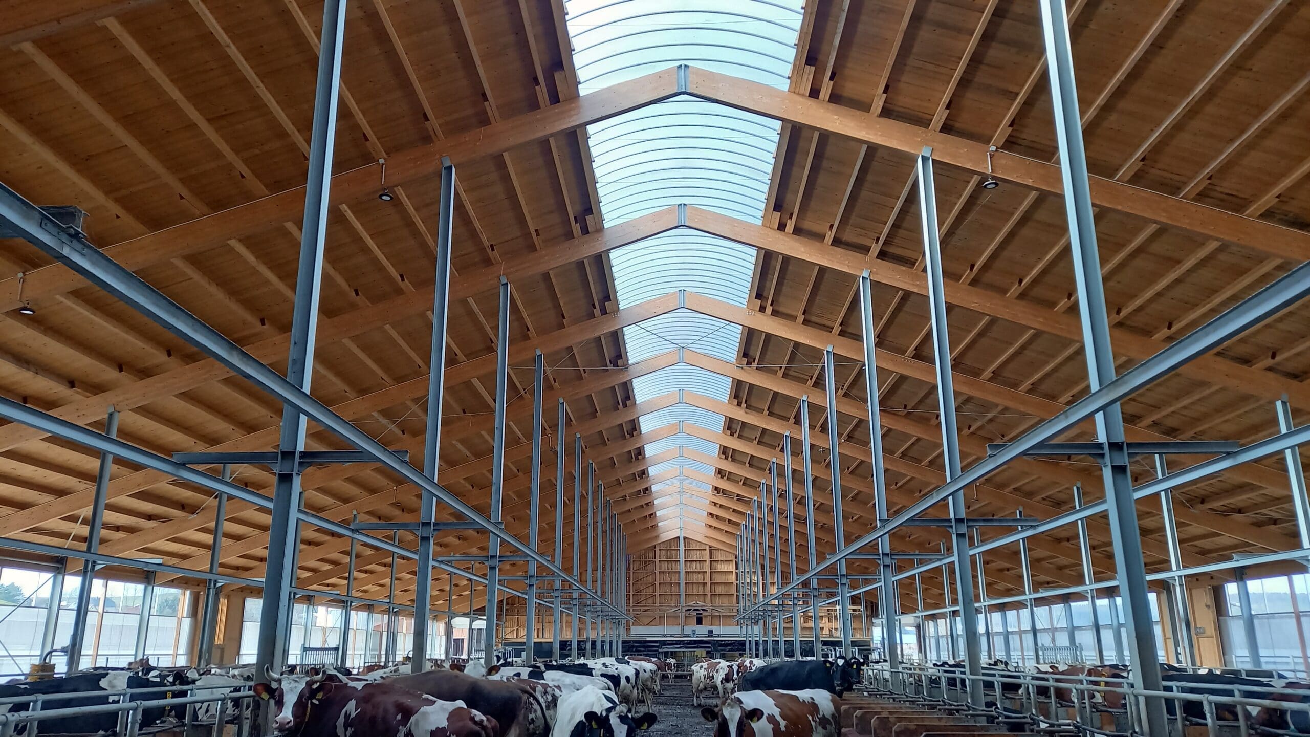 Holzbau Kompetenz Sachsen GmbH &ndash; 20230222 121411 scaled